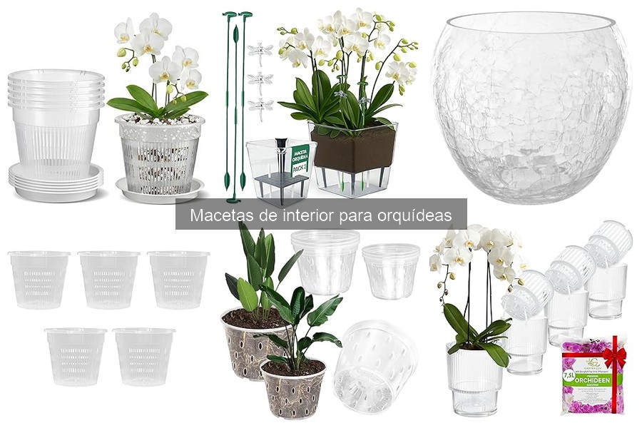 Errores comunes al usar macetas para orquídeas en interiores