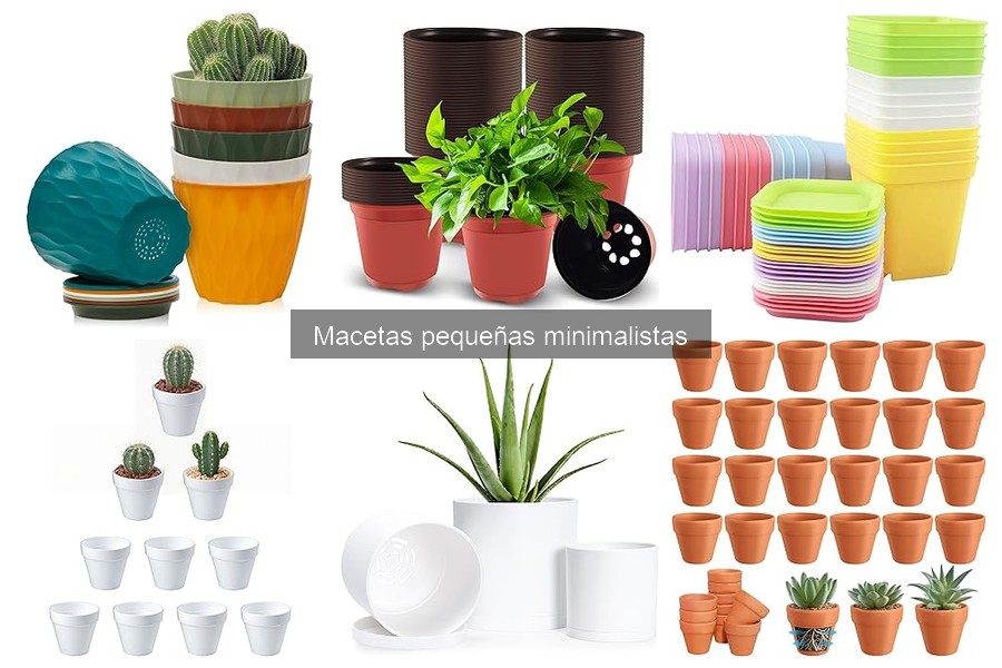 Errores comunes al usar macetas pequeñas minimalistas