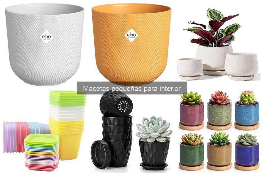Errores comunes al usar macetas pequeñas para interior