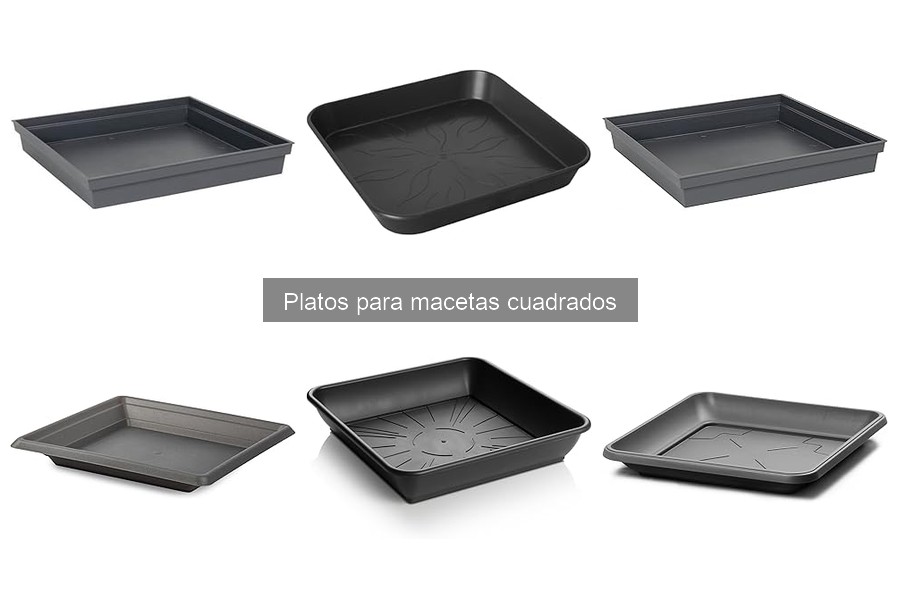 Errores comunes al usar platos para macetas cuadrados