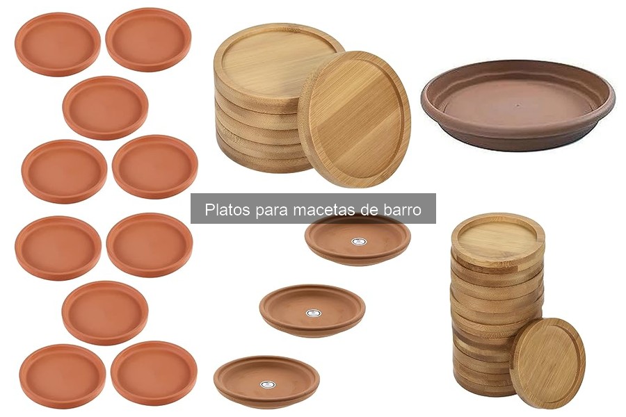 Errores Comunes al Usar Platos para Macetas de Barro
