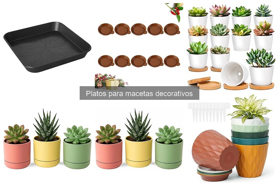 Errores comunes al usar platos para macetas decorativos