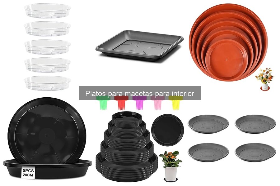 Errores comunes al usar platos para macetas en interiores
