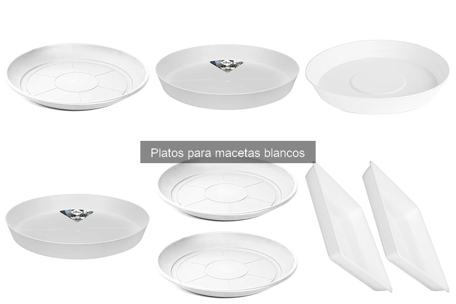 Errores comunes al usar platos para macetas: evítalos