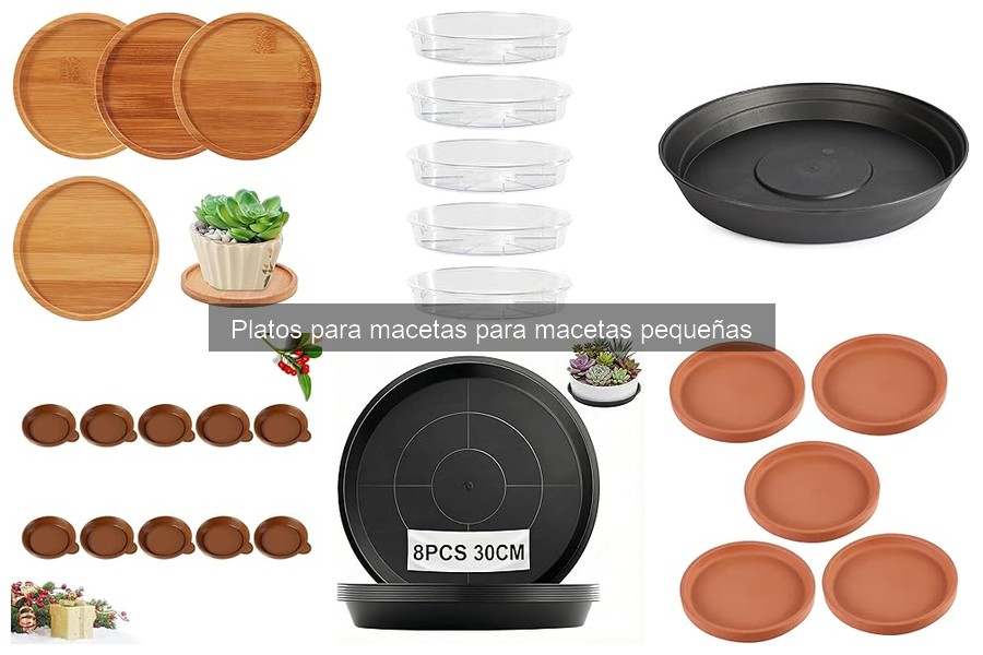 Errores comunes al usar platos para macetas pequeñas