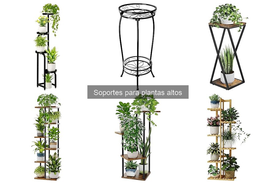 Errores comunes al usar soportes para plantas altos