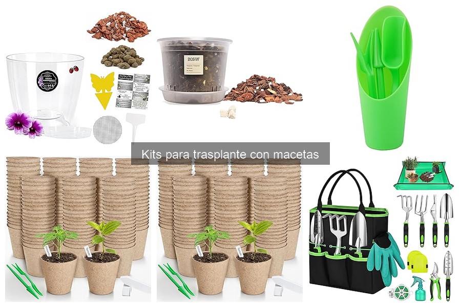 Errores comunes al usar un kit para trasplante de macetas