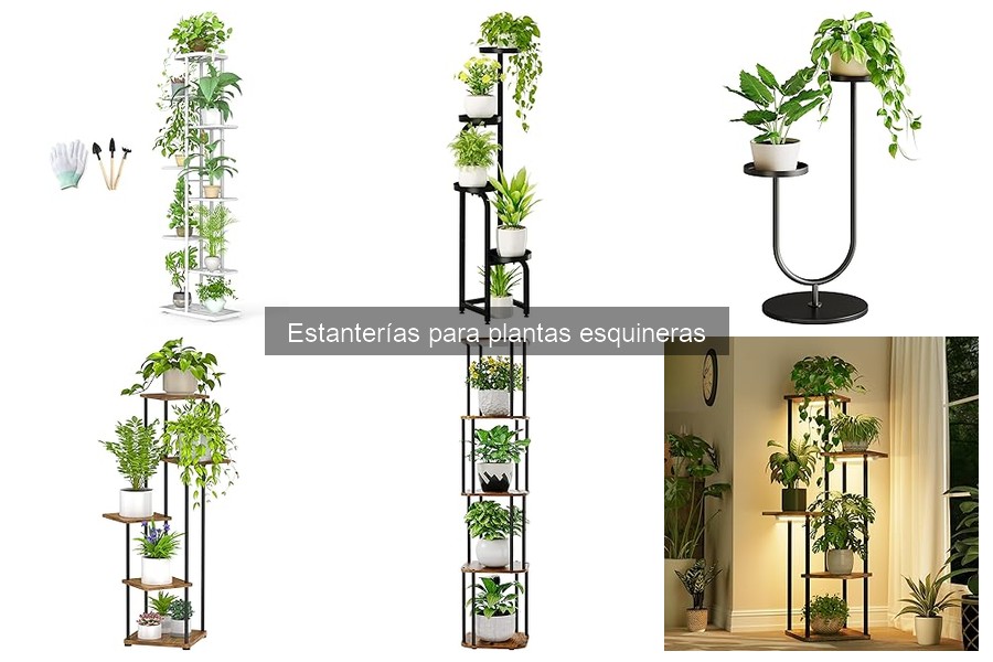 Errores comunes con estanterías para plantas esquineras