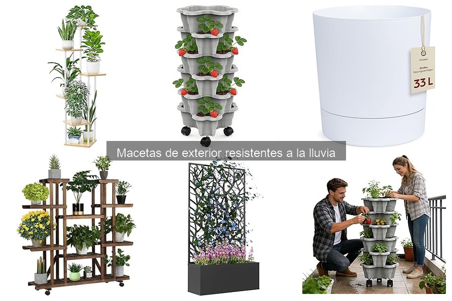 Errores comunes con macetas de exterior expuestas a la lluvia