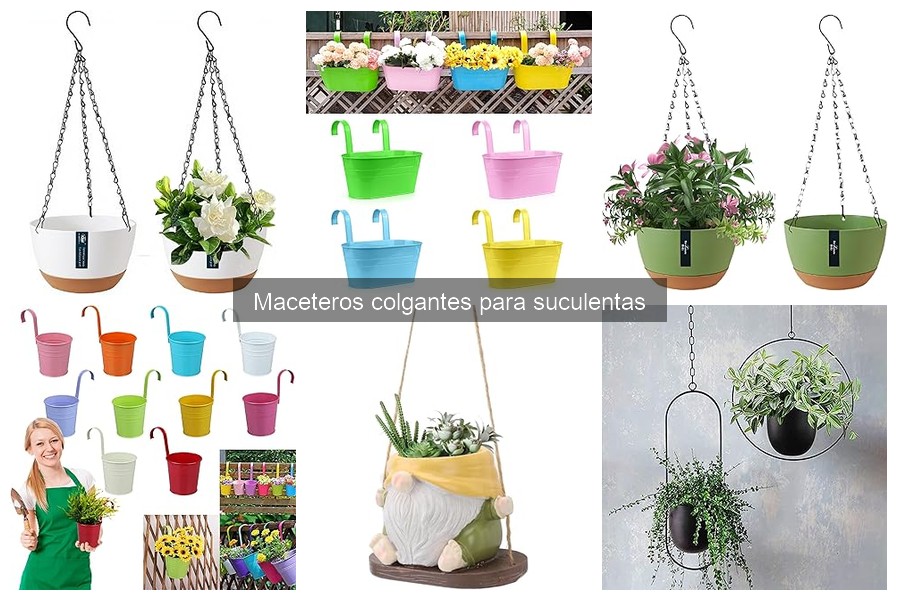 Errores comunes con maceteros colgantes para suculentas