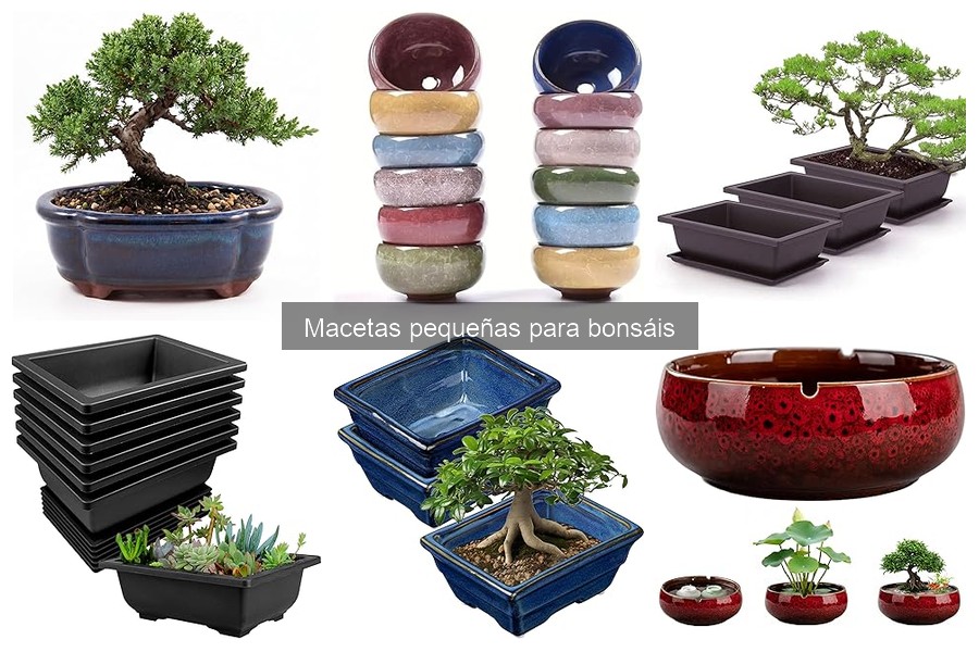 ¿Es recomendable hacer macetas pequeñas para bonsáis en casa?