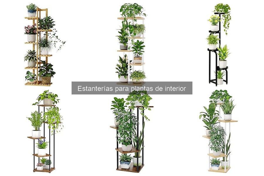 Estanterías decorativas para plantas de interior: guías y estilos