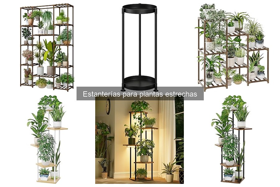 Estanterías estrechas para plantas: interior vs. exterior