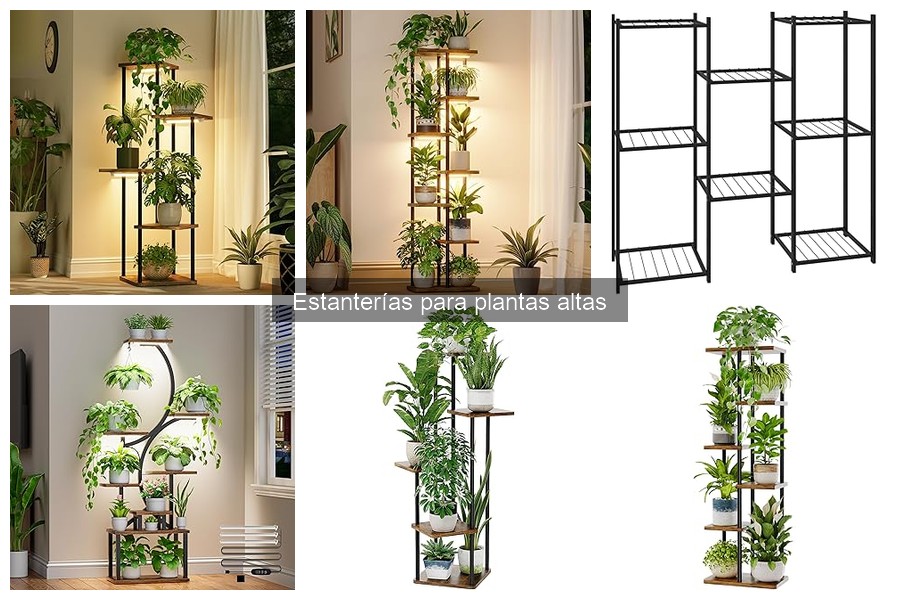 Estanterías para plantas altas en exteriores: ventajas y características