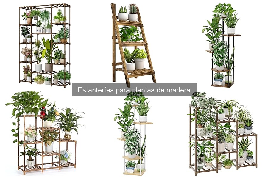 Estanterías para plantas de madera asequibles y de calidad