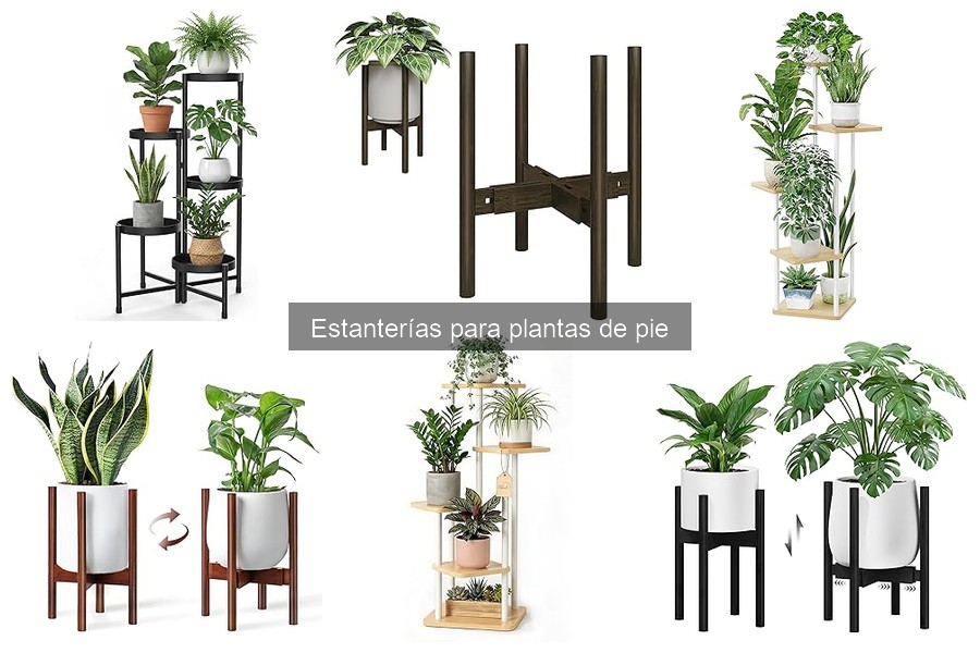 Estanterías para Plantas de Pie para Exteriores: Guía Práctica
