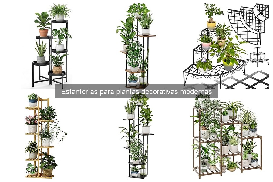 Estanterías para plantas decorativas modernas: características y usos