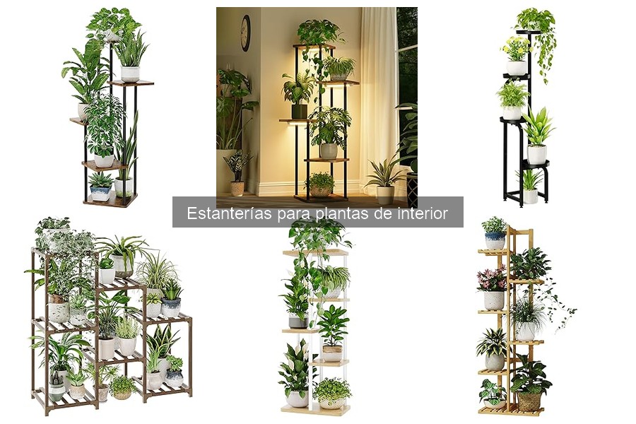 Estanterías para plantas en espacios pequeños: soluciones ideales