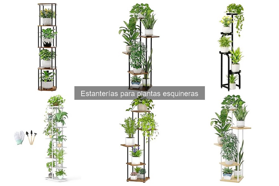 Estanterías para Plantas Esquineras DIY: Proyectos Creativos