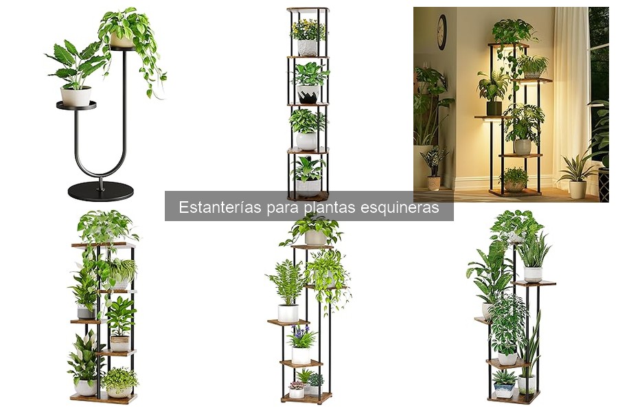 Estanterías para Plantas Esquineras en Espacios Pequeños