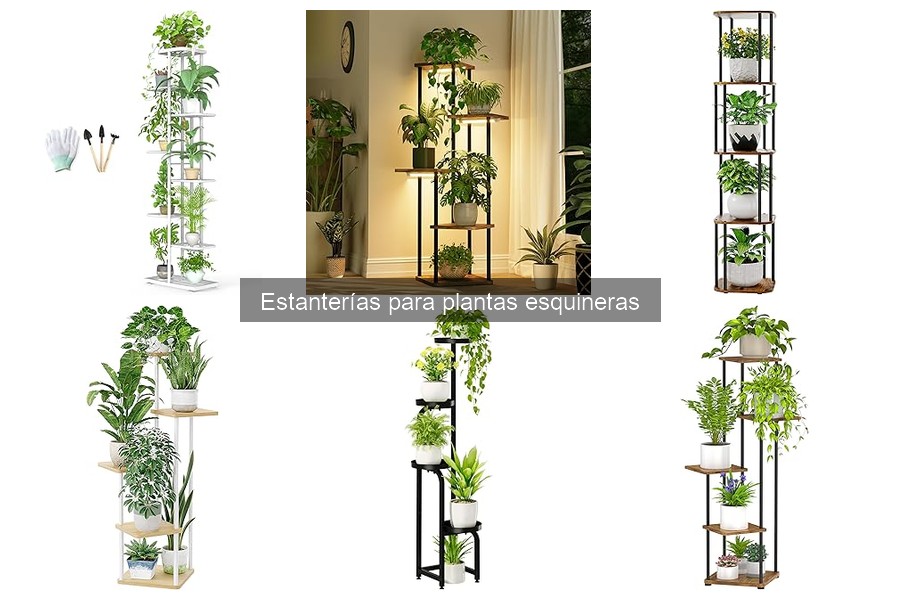 Estanterías para plantas esquineras: Funciones y características
