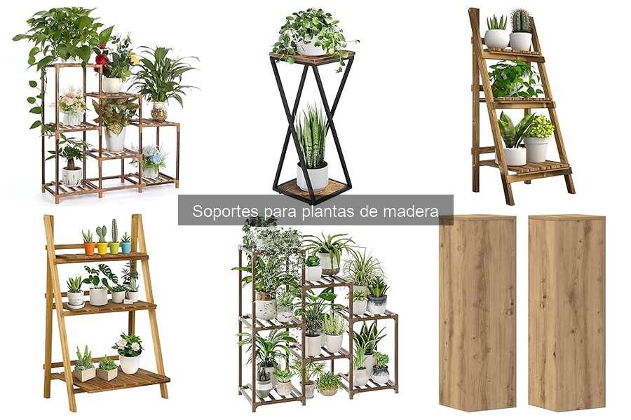 Estilos de decoración con soportes para plantas de madera
