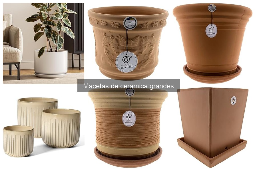 Estilos de Macetas de Cerámica Grandes para Decorar tu Hogar