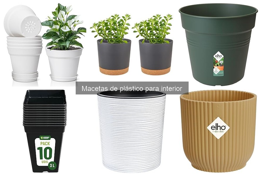 Estilos de Macetas de Plástico para Decoración Interior