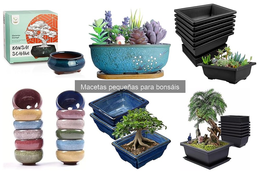 Estilos decorativos de macetas pequeñas para bonsáis