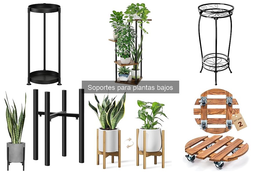 Estilos decorativos para combinar con soportes de plantas bajos