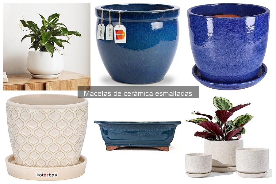 Estilos decorativos para macetas de cerámica esmaltadas