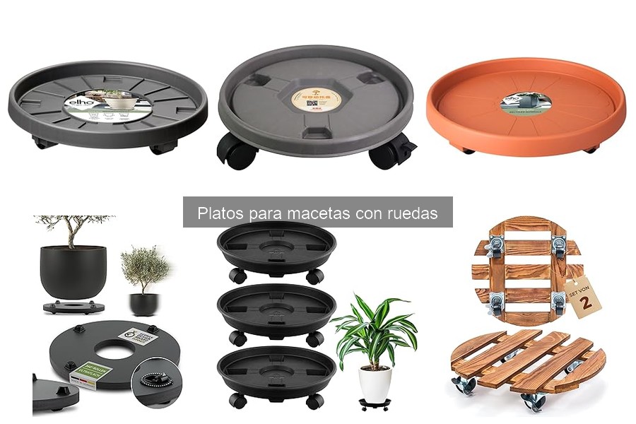 Estilos y diseños de platos para macetas con ruedas