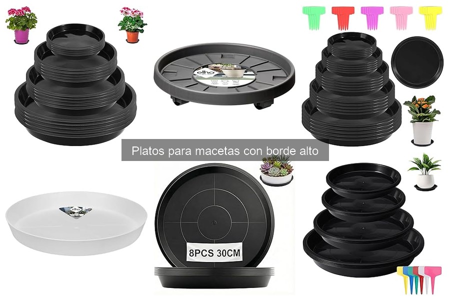 Estilos y Diseños Populares de Platos para Macetas con Borde Alto