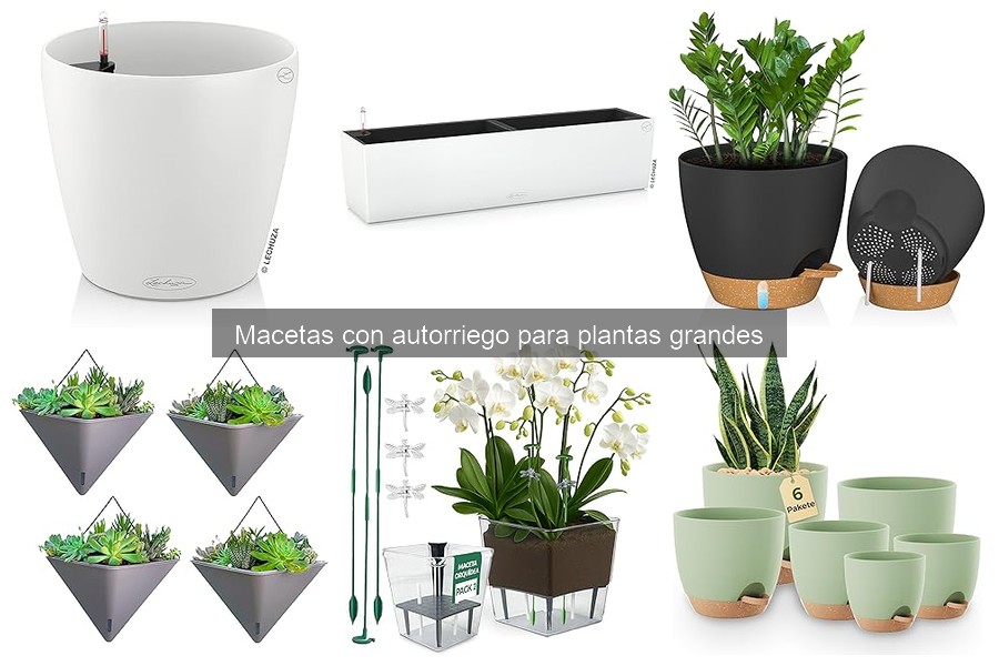 Experiencias con macetas de autorriego para plantas grandes