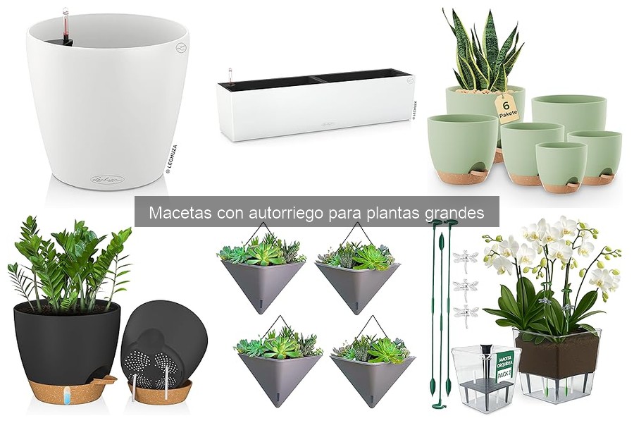 ¿Funcionan las macetas con autorriego para plantas grandes?