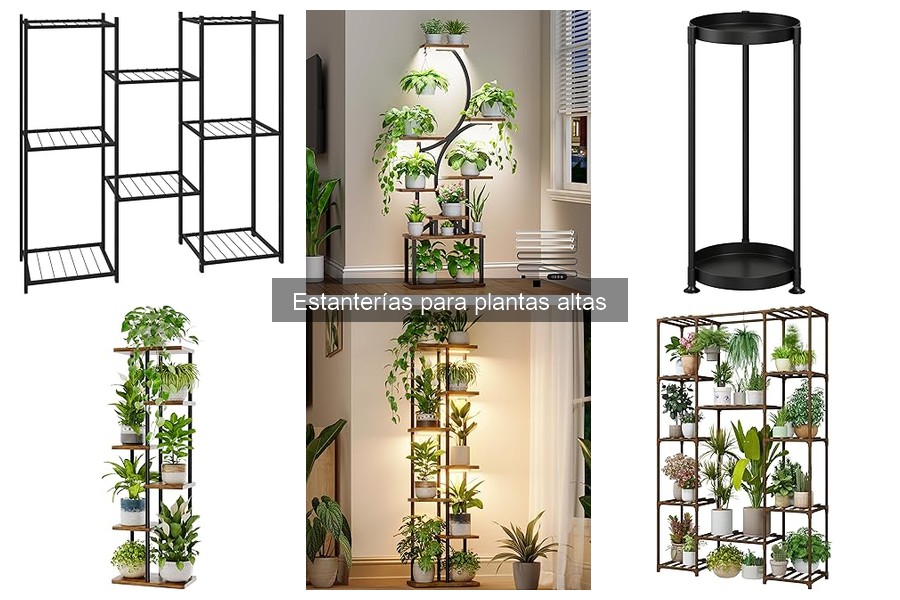 Guía de compra de estanterías para plantas altas