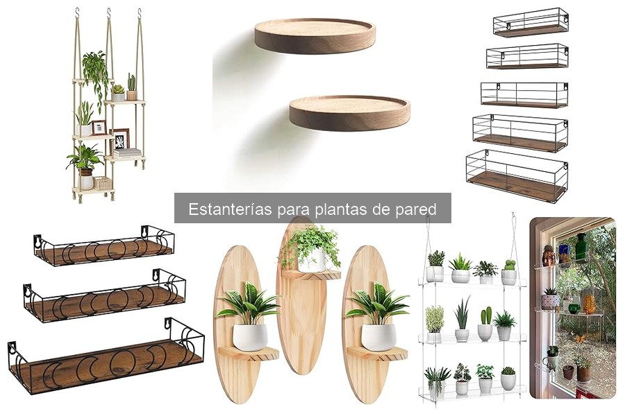Guía de compra de estanterías para plantas de pared