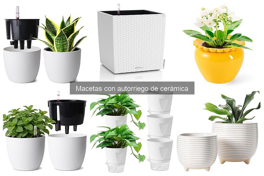 Guía de compra de macetas con autorriego de cerámica