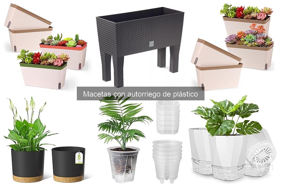Guía de Compra de Macetas con Autorriego de Plástico