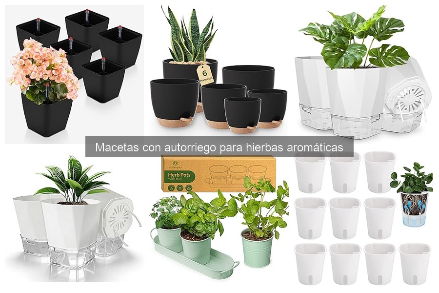 Guía de compra de macetas con autorriego para hierbas aromáticas