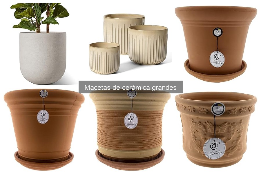Guía de compra de macetas de cerámica grandes para tus plantas