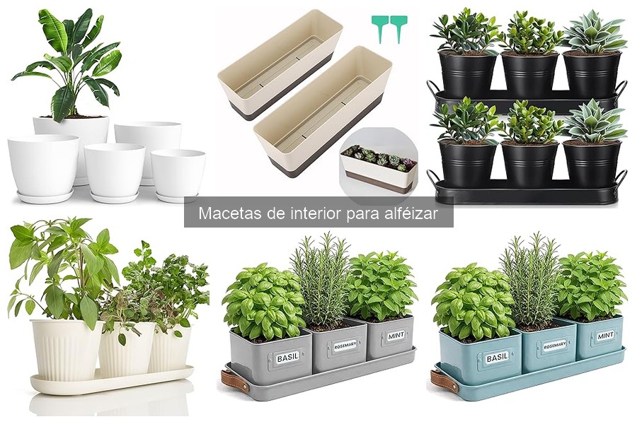 Guía de compra de macetas de interior para alféizar