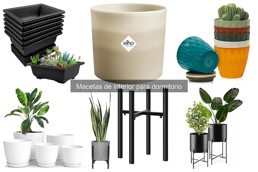 Guía de compra de macetas de interior para dormitorios