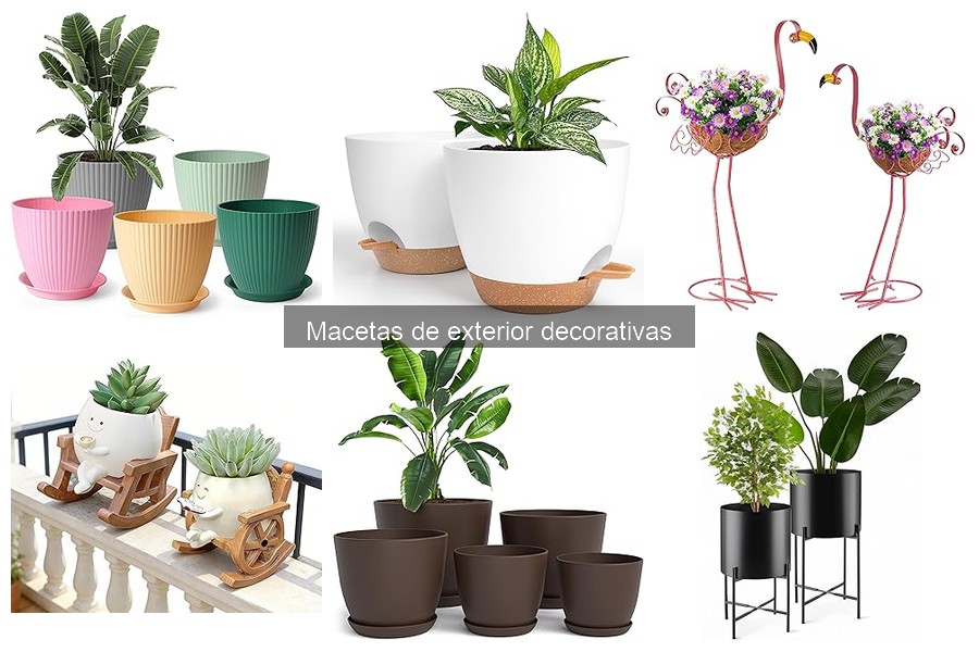 Guía de compra de macetas decorativas para exterior