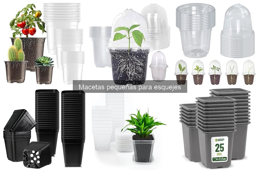 Guía de compra de macetas pequeñas para esquejes