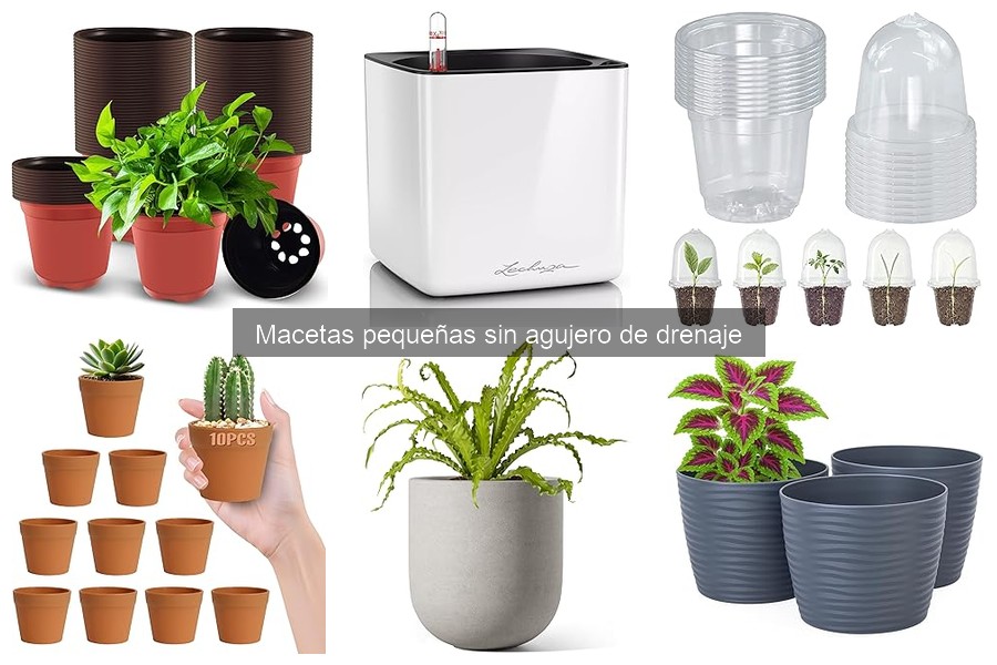 Guía de compra de macetas pequeñas sin agujero de drenaje