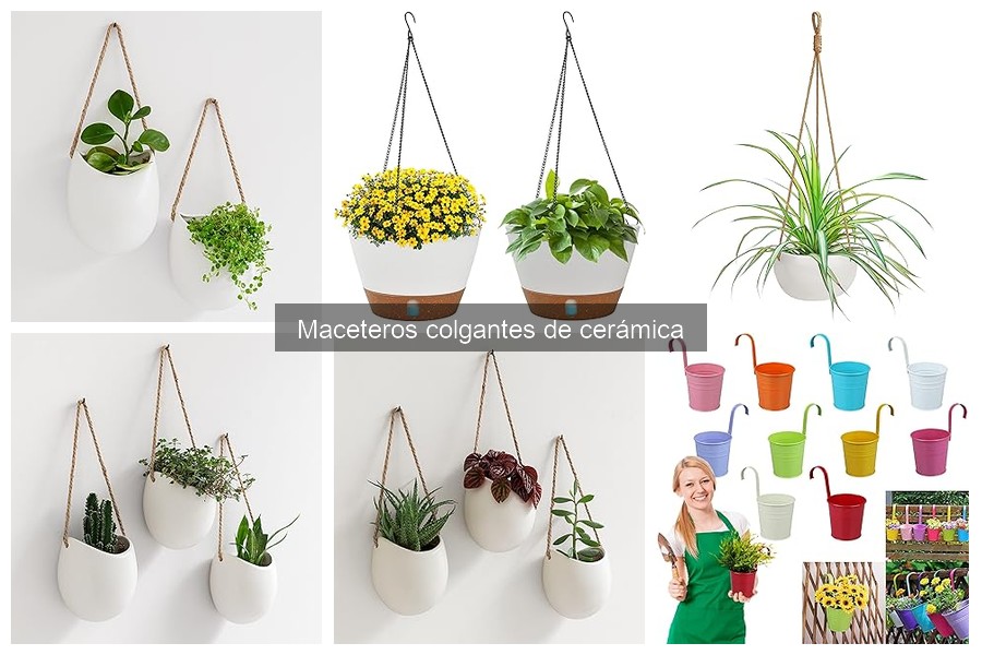 Guía de compra de maceteros colgantes de cerámica