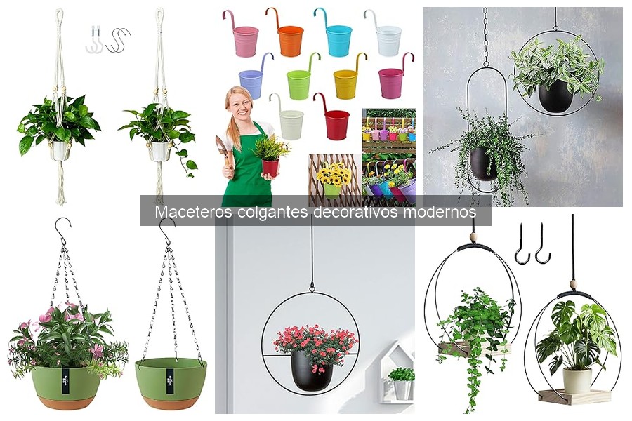 Guía de compra de maceteros colgantes decorativos modernos