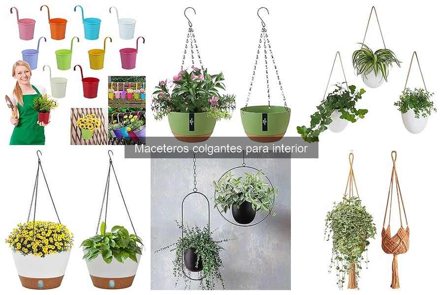 Guía de compra de maceteros colgantes para interiores
