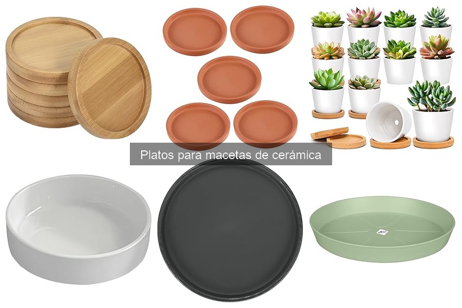 Guía de compra de platos para macetas de cerámica
